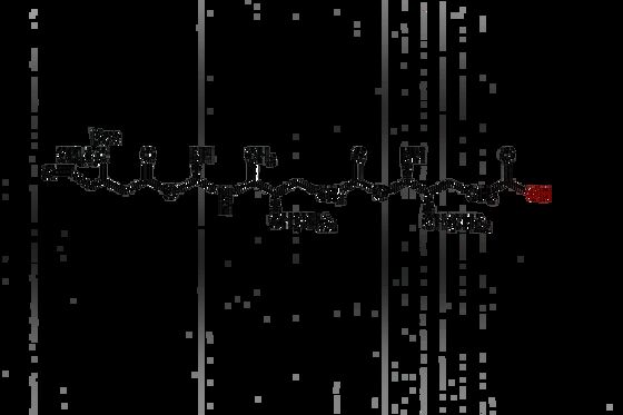 Boc-N-Me-Val-Val CAS 863781-44-6 Boc Peptide Intermediate N-methyl Amino Acid Derivative